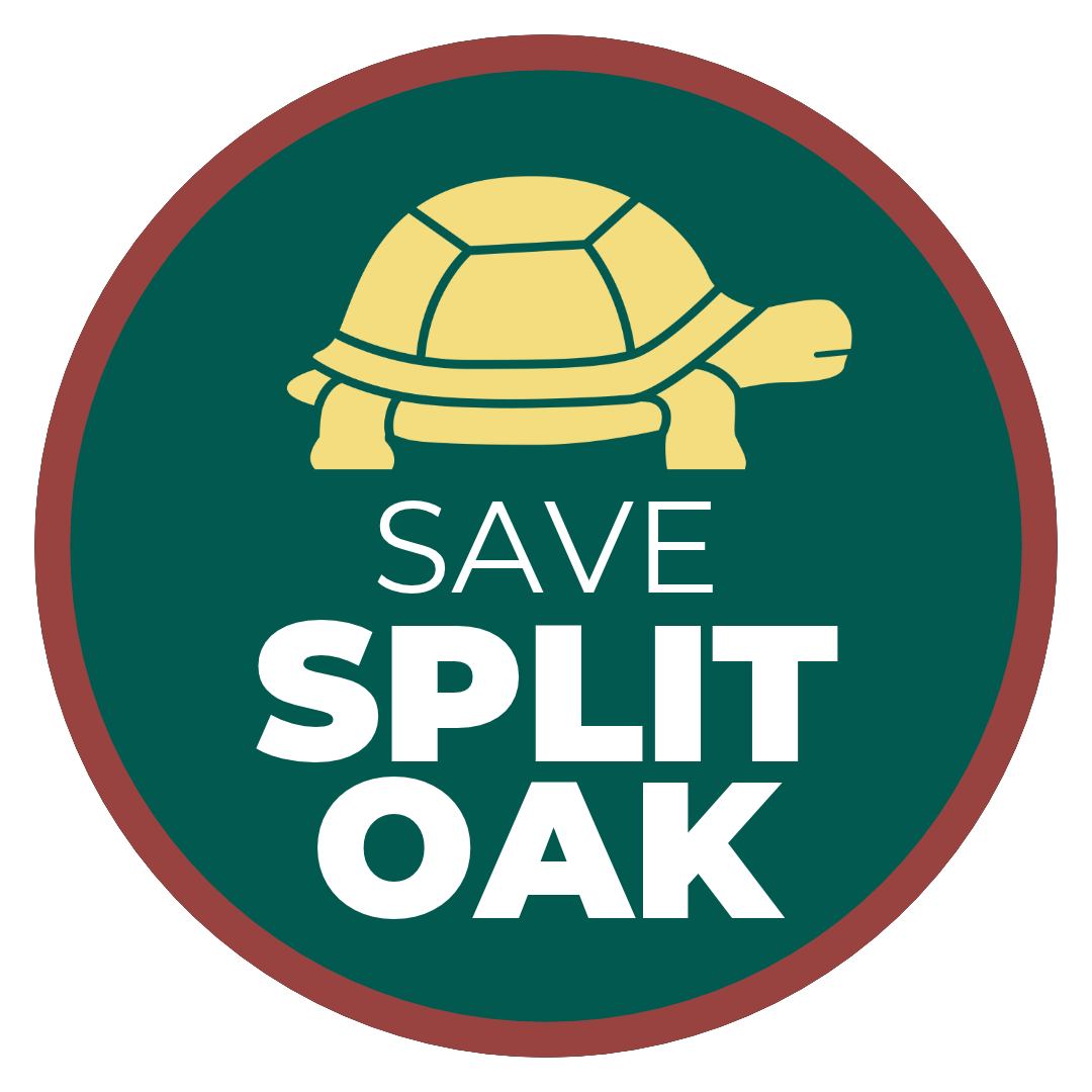Save Split Oak Save Split Oak